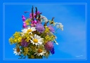 Цветы из Вологды-напоминание о прекрасном. 